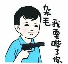 杂毛，我要毙了你