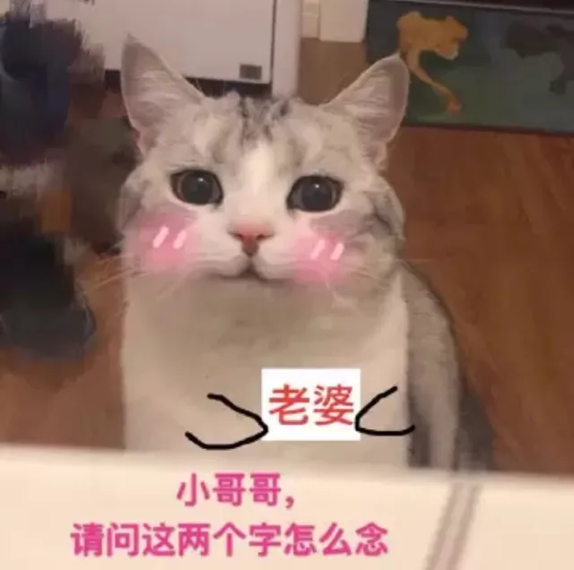 一波萌猫表情包，日常吸猫任务达成_猫_喵星人_萌萌哒表情包