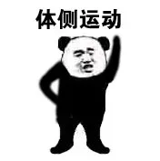 体侧运动