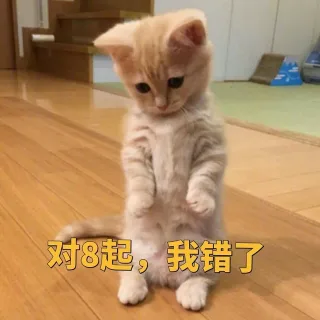 对8起,我错了