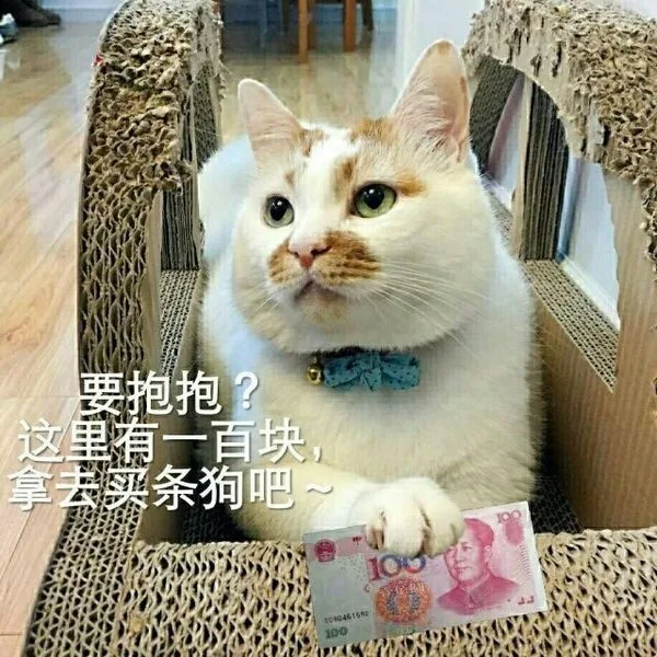 要抱抱？这里是一百块，拿去买条狗吧（要抱抱？这里是一百块，拿去买条狗吧）