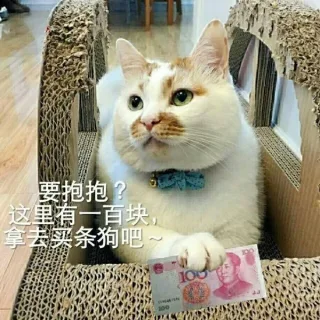 要抱抱？这里是一百块，拿去买条狗吧