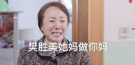 樊胜美她妈做你妈（樊胜美她妈做你妈）