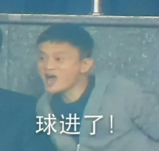球进了！