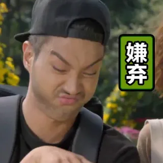 嫌弃