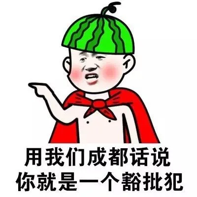 用我们成都话说你就是一个豁批犯