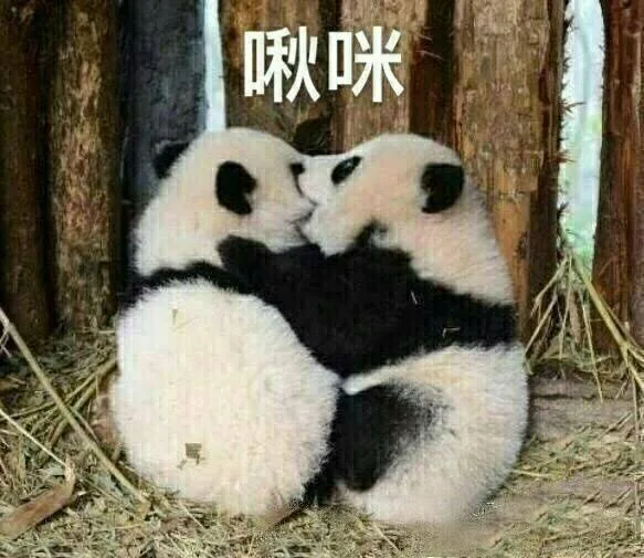 啾咪