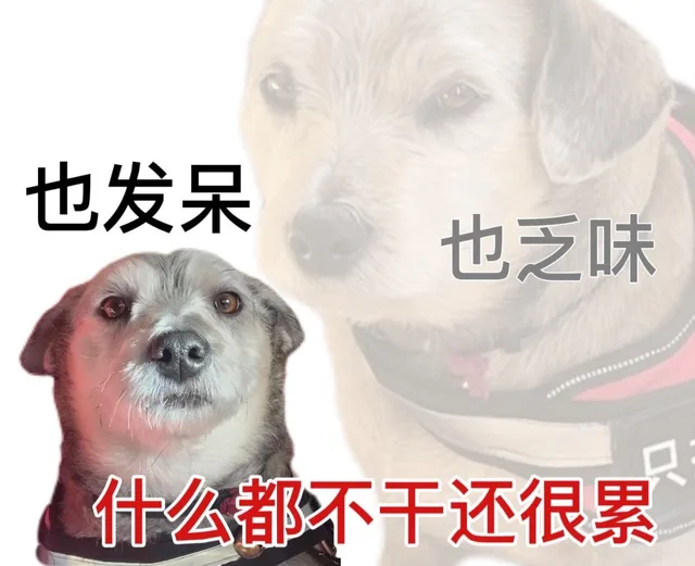 也发呆也乏味什么都不干还很累