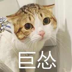 巨怂（巨怂）