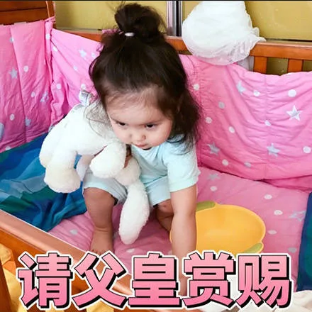 请父皇赏赐