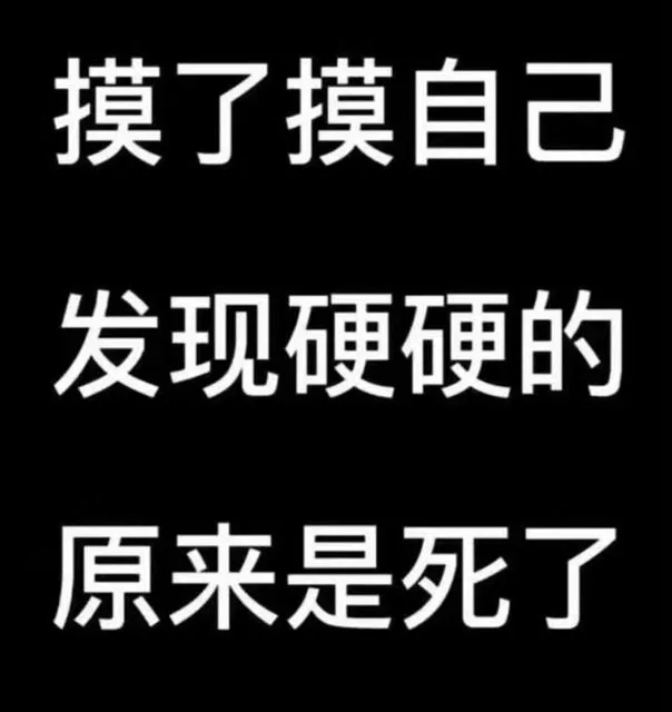 摸了摸自己发现硬硬的原来是死了（摸了摸自己发现硬硬的原来是死了）