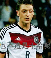 厄齐尔：也不知道是干啥呢