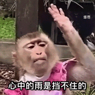 惩罚心中的雨是挡不住的(吗喽表情包)（惩罚心中的雨是挡不住的(吗喽表情包)）