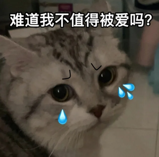 难道我不值得被爱吗？（难道我不值得被爱吗？）