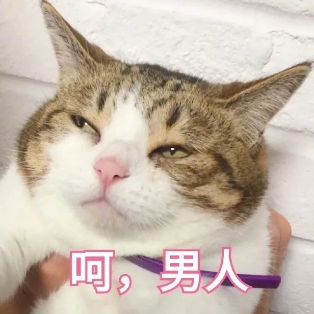 呵，男人