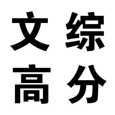 文综高分