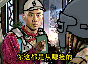 尔康：你这都是从哪捡的（尔康：你这都是从哪捡的）