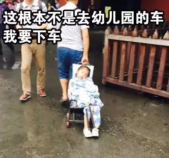 这根本不是去幼儿园的车！ 我要下车（这根本不是去幼儿园的车！ 我要下车）