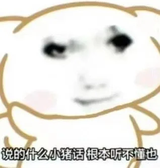 说的什么小猪话根本听不懂也（说的什么小猪话根本听不懂也）