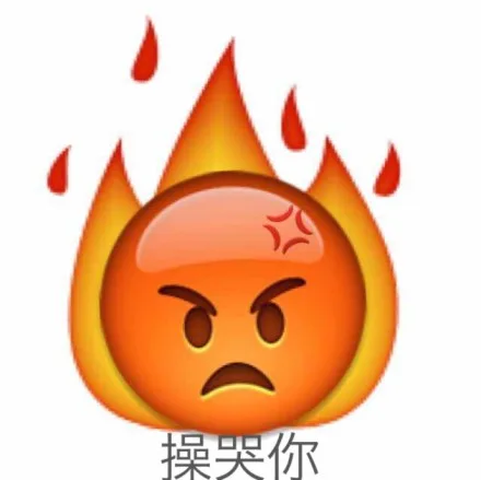 操哭你（愤怒）（操哭你（愤怒））