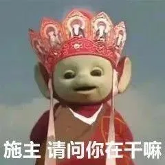 施主请问你在干嘛