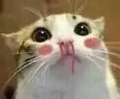 这对我来说太色情了