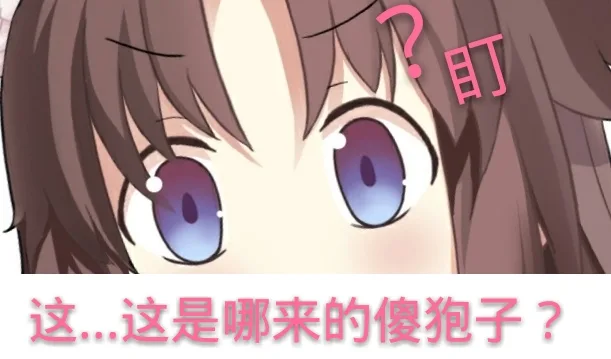 盯！…哪来的傻狍子？