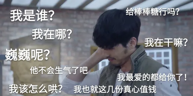 我是谁?给棒棒糖行吗?我在哪?我在干嘛?巍巍呢?他不会生气了吧我最爱的都给你了!我该怎么哄?我也就这几份真心值钱