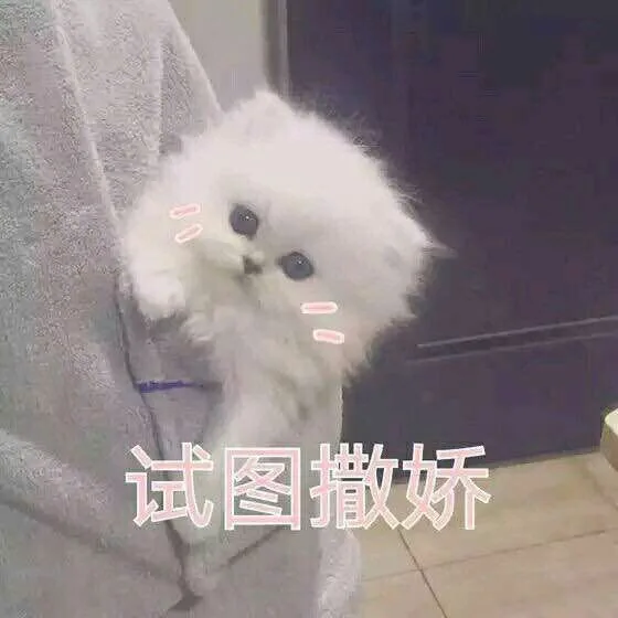 试图撒娇（试图撒娇）