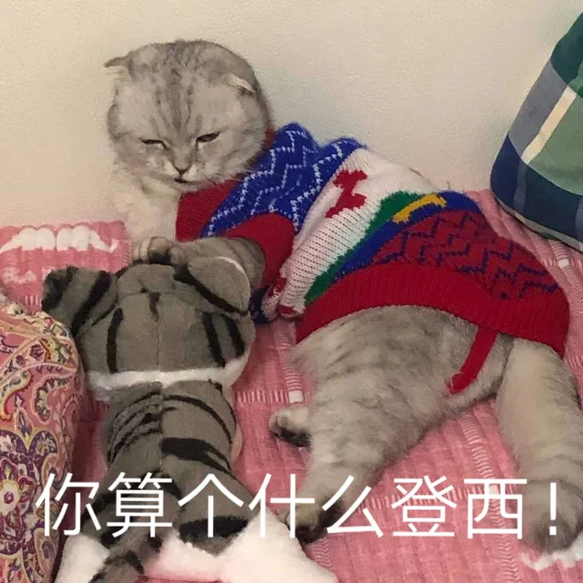 你算个什么东西