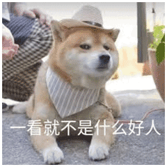 一看就不是什么好人（一看就不是什么好人）