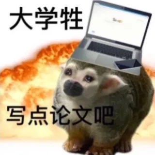 猴猴