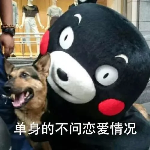 单身的不问恋爱情况