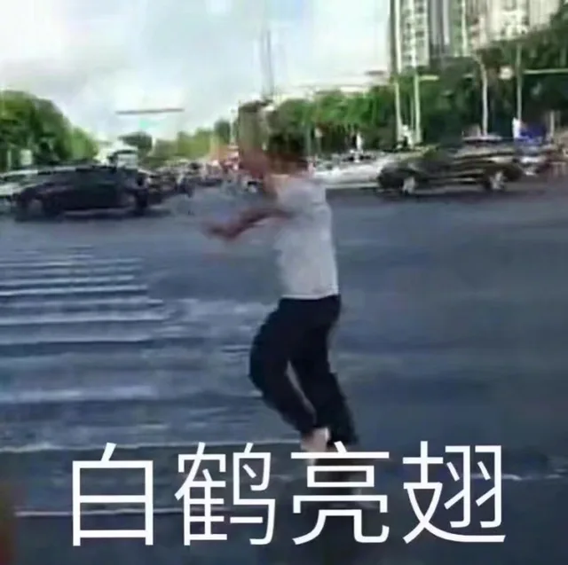白鹤亮翅（白鹤亮翅）