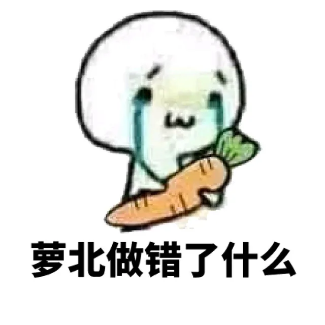 萝北做错了什么（萝北做错了什么）