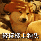 轻抚楼上狗头