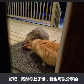 好吧，既然你肚子饿，我也可以分享的