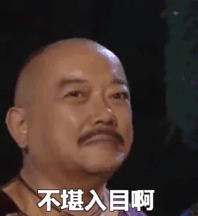 不堪入目啊