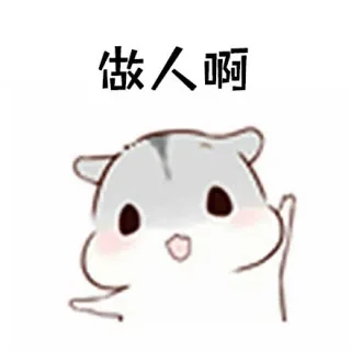 做人啊，一定要谦虚！你记住了吗？_仓鼠