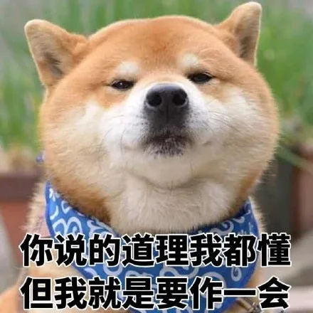 你说的道理我都懂但我就是要作一会（你说的道理我都懂但我就是要作一会）