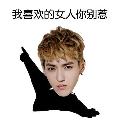 我喜欢的女人你别惹_明星表情表情包
