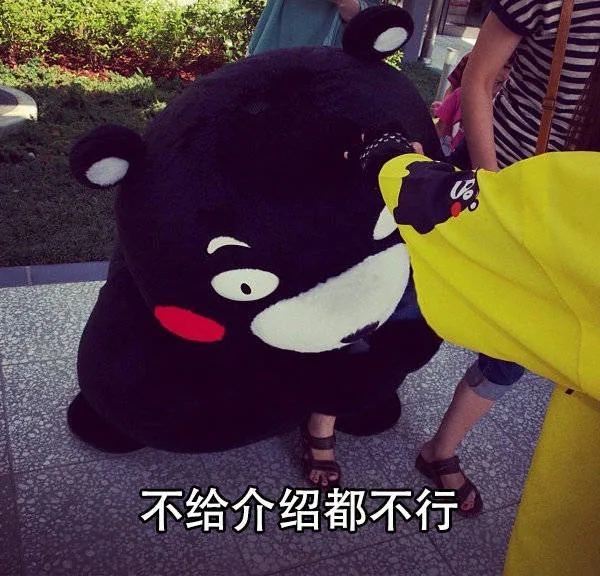 不给介绍都不行（不给介绍都不行）
