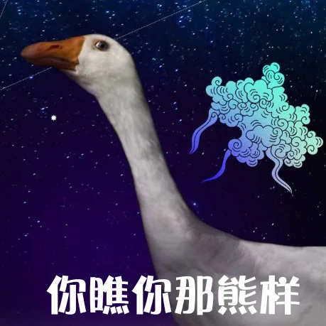 你瞧你那熊样