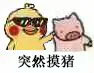 突然摸猪