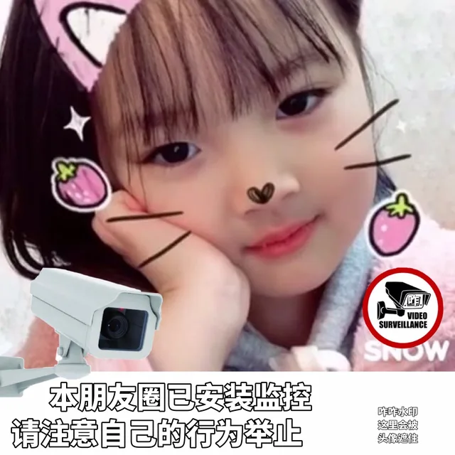 本朋友圈已安装监控，请注意自己的言行举止（本朋友圈已安装监控，请注意自己的言行举止）