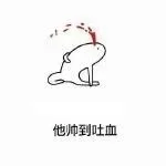 他帅到吐血