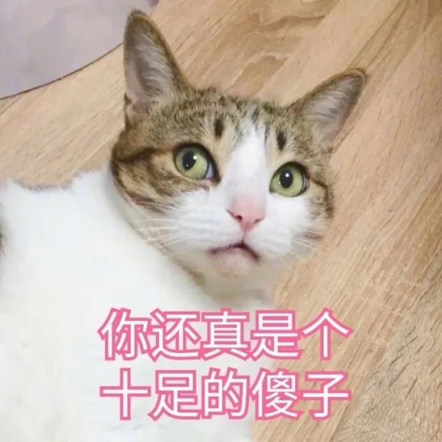 你还真是个十足的傻子（你还真是个十足的傻子）