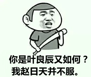 你是叶良辰又如何？我赵日天并不服。（你是叶良辰又如何？我赵日天并不服。）