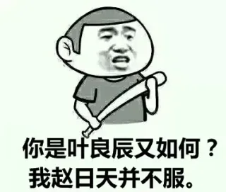 你是叶良辰又如何？我赵日天并不服。