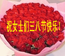 祝女神们节日快乐！表情包